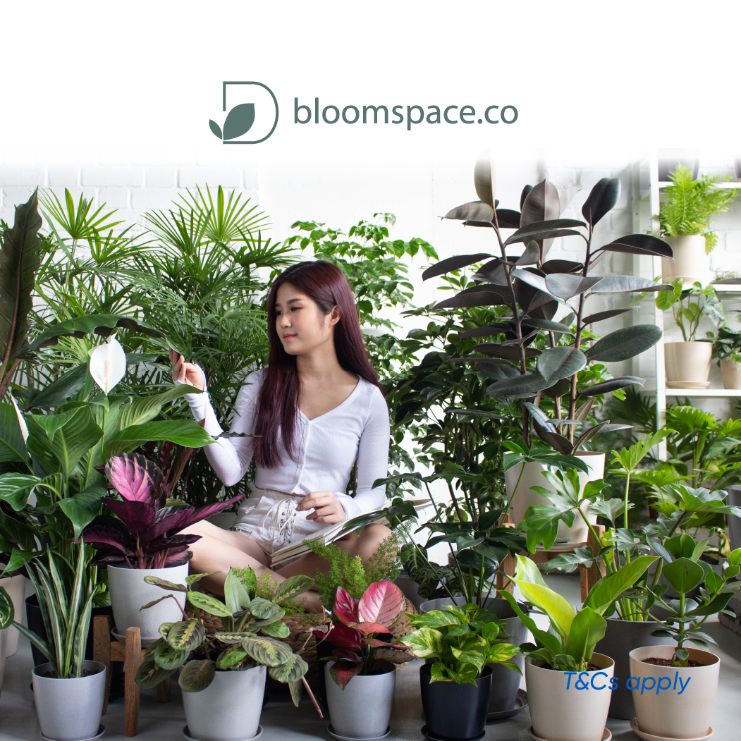 bloomspace-rm15-off-thumb.jpg