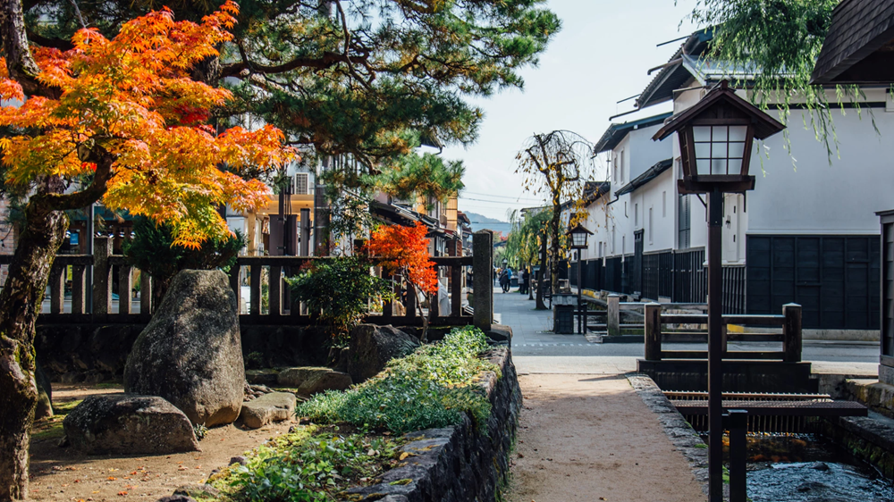 A path between buildings with trees and bushes

AI-generated content may be incorrect., Picture