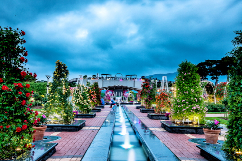 Gokseong Rose Festival (Credit: Visit Korea)